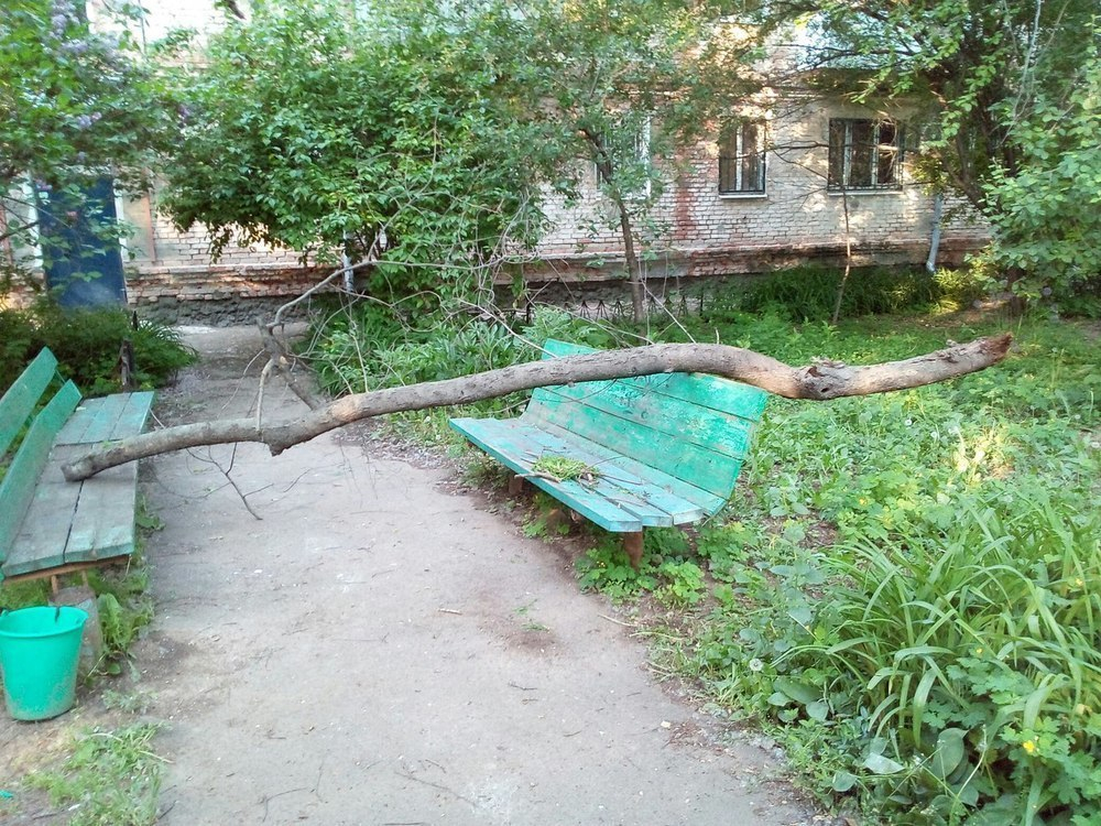 Старое дерево рухнуло на играющих детей в Волгодонске