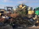 Листва под запретом: с 1 сентября россиян ждут новые правила утилизации отходов