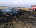 Удар был нанесен в глухой степи: фото и видео с места гибели людей от украинского БПЛА в Зимовниковском районе 