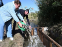 Судьбу сотен тысяч рыб-камышеедов в Цимлянском водохранилище обсудили депутаты думы