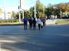 Волгодонские пешеходы стали реже провоцировать ДТП