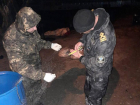 Волгодонские браконьеры ловили рыбу на сети в Сухо-Соленовском заливе