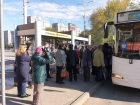 Ветеранам труда рассказали, как бесплатно ездить в общественном транспорте по Волгодонску