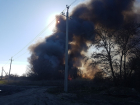 В лесах около Волгодонска отменили пожароопасный режим