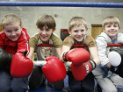 Первая бесплатная секция по боксу открылась в Волгодонске