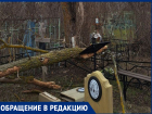 «Поломанные деревья разрушают оградки  и памятники»: волгодонцы о состоянии старого кладбища 