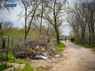 Запретить высаживать на кладбищах деревья планируют в Волгодонске