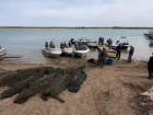 Были использованы даже беспилотники: настоящий морской бой произошел на Цимлянском водохранилище между силовиками и «браконьерской эскадрой» 