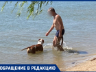 Человек с бойцовской собакой вызвал панику на городском пляже Волгодонска