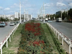 Потерянные куры, стоматологи-нелегалы и мойка путепровода к приезду министра: о чем писали  газеты в июне 1988 года