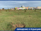 «Торчащие палки в районе ТРЦ - это сад?»: волгодончанка о посадке деревьев на Набережной