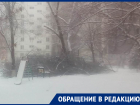 «Оно никому не мешало, не было гнилым»: жители Волгодонска о срубе здорового дерева во дворе МКД