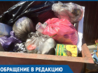 Бросайте мусор в свой контейнер, - предприниматели обратились к волгодонцам 
