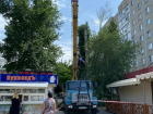 После публикации в «Блокноте» на Энтузиастов спилили опасные сухие деревья 