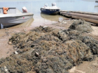 В акватории Цимлянского водохранилища обнаружили 105 метров рыболовных сетей