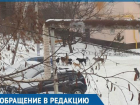 Из-за стаи бродячих собак волгодончанка отправляет ребенка в школу на такси