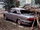 Тополь раздавил легковой автомобиль в районе педучилища в Волгодонске