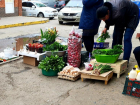 Радиологический мониторинг продуктов в Волгодонске под контролем
