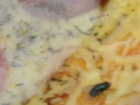 Падальную муху в упаковке пиццы гипермаркета «Магнит Семейный» сняли на видео волгодонцы