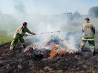 Почти 200 гектаров леса сгорело в Орловском районе