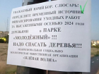 Листовки с призывом к Юрию Слюсарю спасти засыхающие деревья появились в Молодежном парке