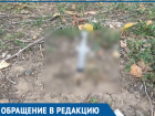Воткнутый в землю использованный шприц шокировал молодую маму в Волгодонске 