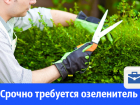 На базу отдыха требуется озеленитель