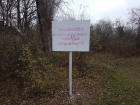 «Гринпис» выступил против лишения дендрария в Волгодонске статуса памятника природы
