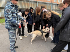 Волгодонские полицейские провели экскурсию для учащихся «полицейского класса» Дубовского района