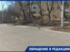 «Сколько еще город будет утопать в ветках?»: из Волгодонска не торопятся вывозить порубочные остатки