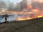 Спасатели рассказали волгодонцам, как спасти себя от весенних пожаров