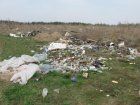 Битое стекло, пакеты и жестяные банки: на окраине хутора Рябичи обнаружена несанкционированная свалка