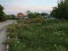 Волгодонск вошел в ТОП городов-нарушителей по покосу травы 