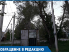 Жители Красного Яра называют "бомбой замедленного действия"опасное дерево 