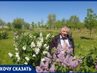 «Водоканал смотрит, как деревья гибнут от засухи и огня»: сквер на берегу залива засыхает из-за отсутствия полива