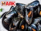 Товар дня: мидии на створке (раковины) за 369, 90₽/кг