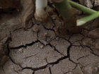 Умываюсь только слезами: Жители посёлка Виноградный изнемогают без питьевой воды