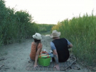 «Превратили пляж в болото»: волгодонец создал инициативу о благоустройстве пляжа на В-9
