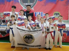 Спортсмены из Зимовниковского района стали призерами областного турнира по рукопашному бою