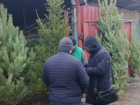 Нелегальным торговцам елями и соснами в Волгодонске пригрозили штрафами до 4 000 рублей