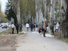 Убирался весь город: месячник чистоты прошел в Волгодонске 