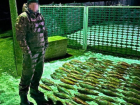 Приспособление для багрения рыбы и 200 метров сетей изъяли у браконьера на берегу Цимлянского водохранилища