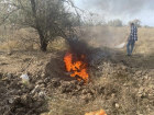Свиней жгли полдня: тайный скотомогильник под Волгодонском ликвидировали