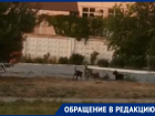 «В службе отлова трубку не берут»: бездомные собаки в Волгодонске продолжают плодиться