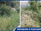 «Трава скоро станет выше роз»: волгодонцы ждут покоса травы в сквере Машиностроителей