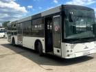 На маршруты Волгодонска добавили два автобуса