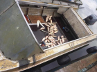 Руководителей рыболовецких компаний оштрафовали за браконьерство на Цимлянском водохранилище 