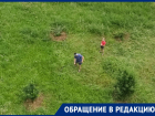 Не дождавшись помощи коммунальщиков, жители Волгодонска сами начали косить траву