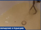 Грязная вода идет из кранов волгодонцев