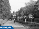 В этот день в парке «Победы» была заложена «Аллея ветеранов партии и труда»